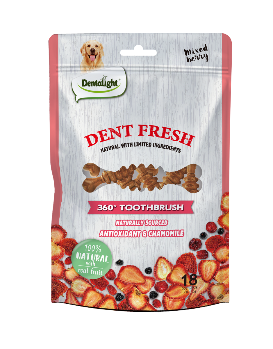 Dent Fresh